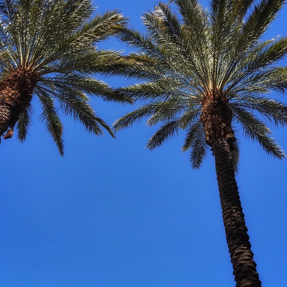 Meet your Posher, Lauren - Picture 1 of 1